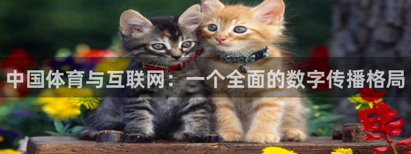 360直播软件足球：中国体育与互联网：一个全面的数字传播格局